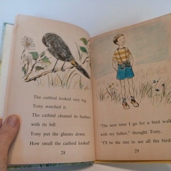 "Tony's Birds" book from 1961 - Picture 7 of 12